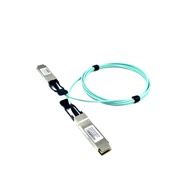 Fiber Optic Connections to Servers and Switches PDF preview