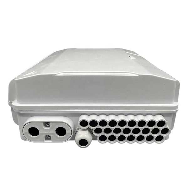 Fiber Channel Rate