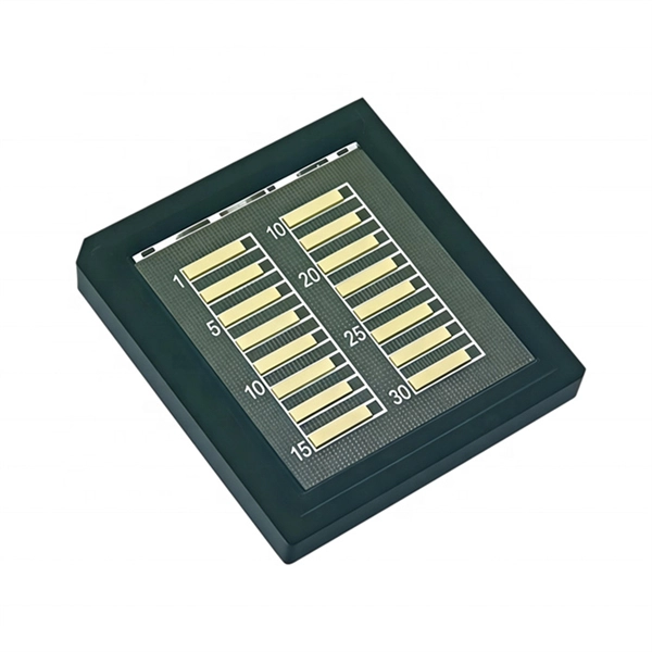 Optical Modules and Coherent Optical Modules