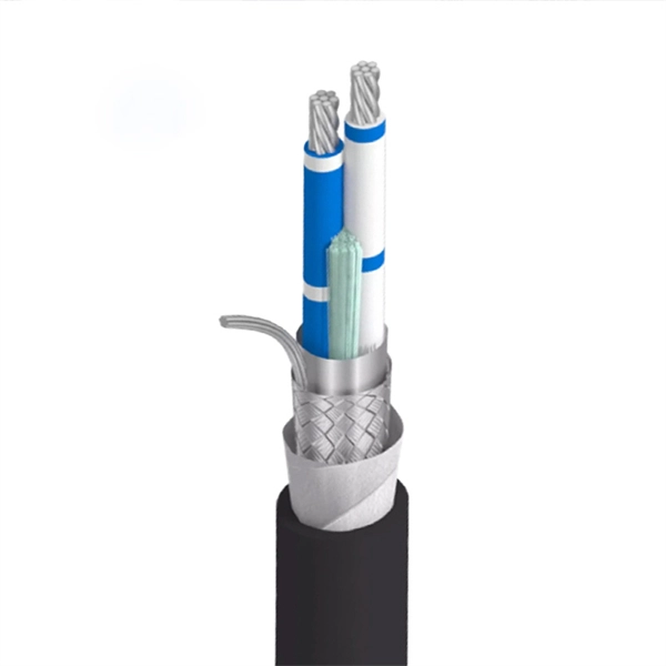 Gigabit Broadband Optical Module PDF preview
