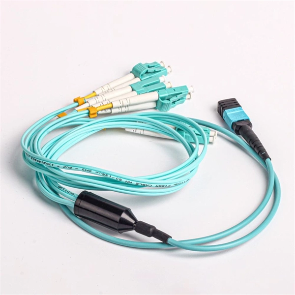 Customized network racks in the Netherlands PDF preview
