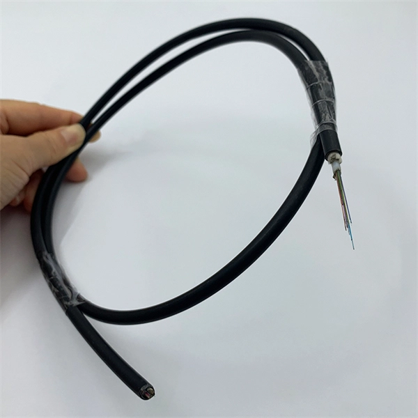 Compatible 200GONT optical network terminal from a US supplier PDF preview