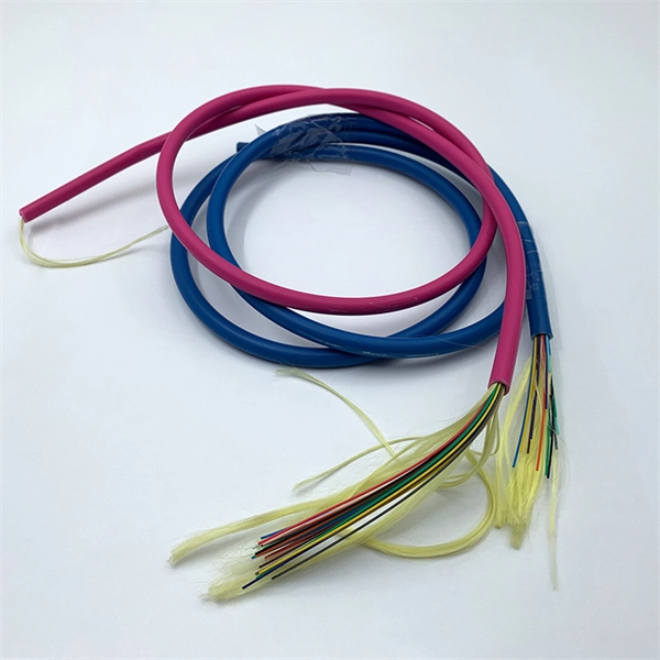1 6T Optical Network Switch PDF preview